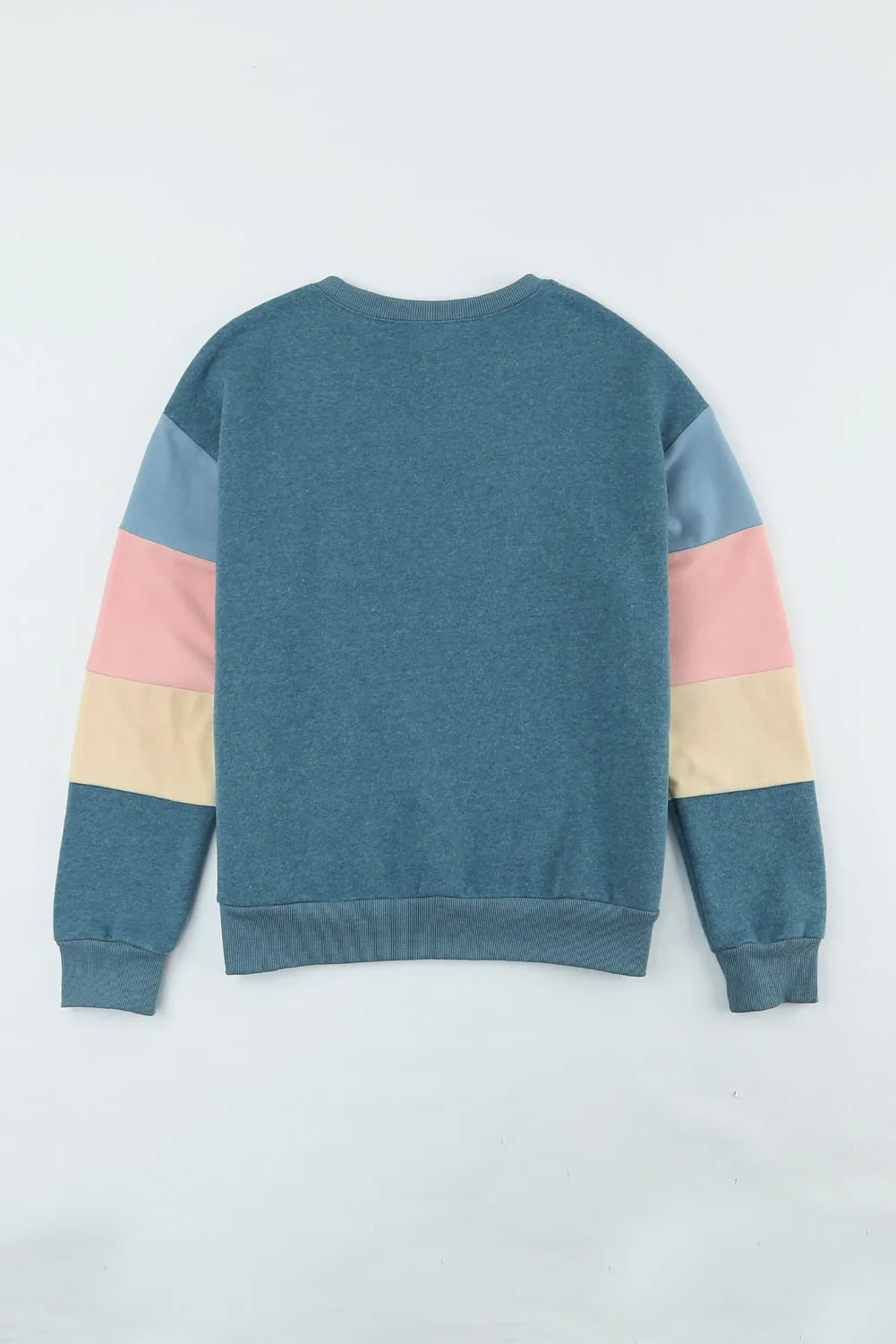 Color Block Round Neck Long Sleeve Sweatshirt